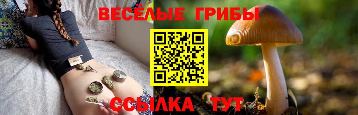 Балашиха  Псилоцибиновые грибы Cubensis  где можно купить наркотик  Вход с VPN 